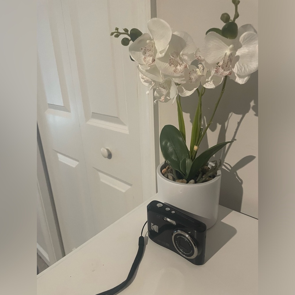 Kodak Pixpro FZ45